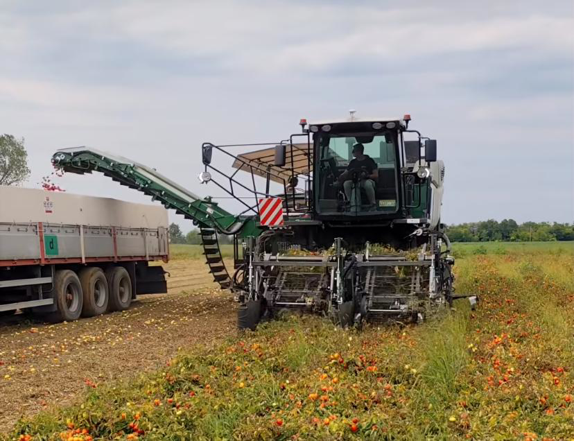 110 tonnes of tomatoes an hour