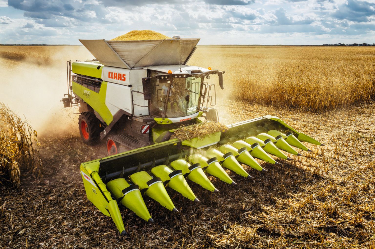 CLAAS launches ROVIO 4 maize head