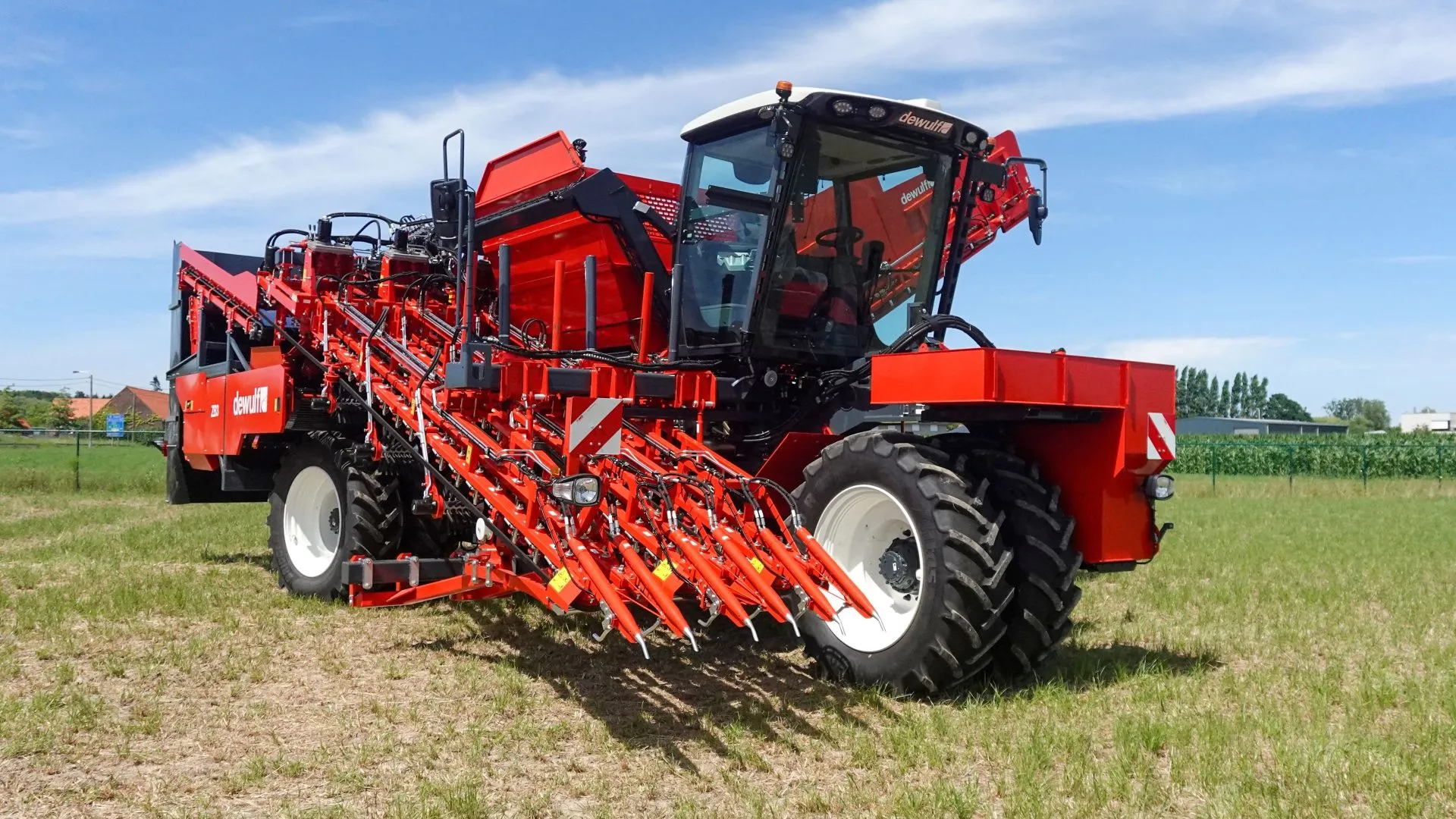 Dewulf three-row carrot harvester Dewulf three-row carrot harvester