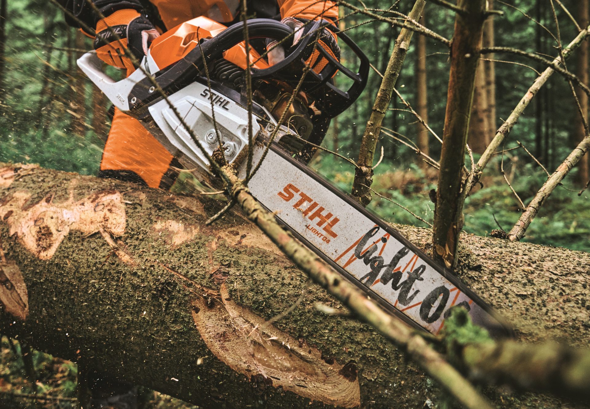 First outing for Stihl battery and fast charger First outing for Stihl battery and fast charger
