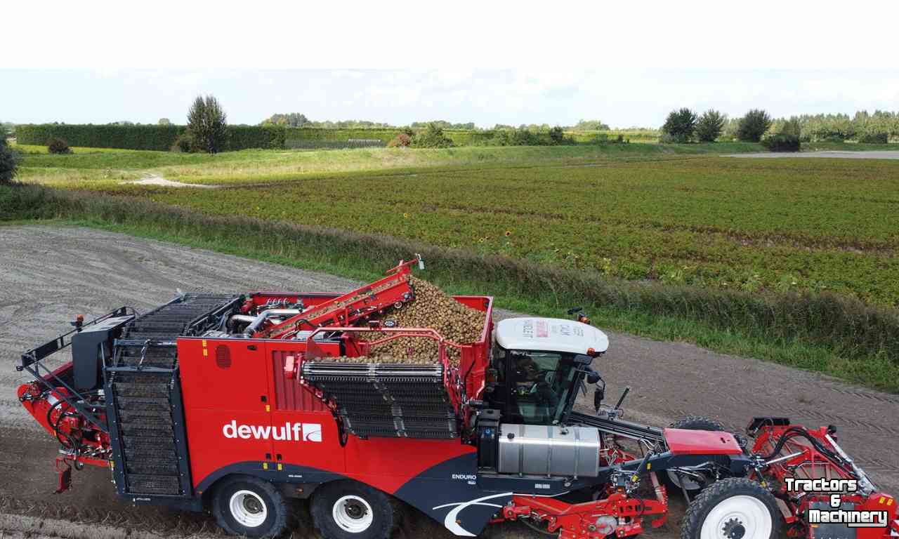 Potato harvester Dewulf Enduro D7146 Aardappelrooier Demo