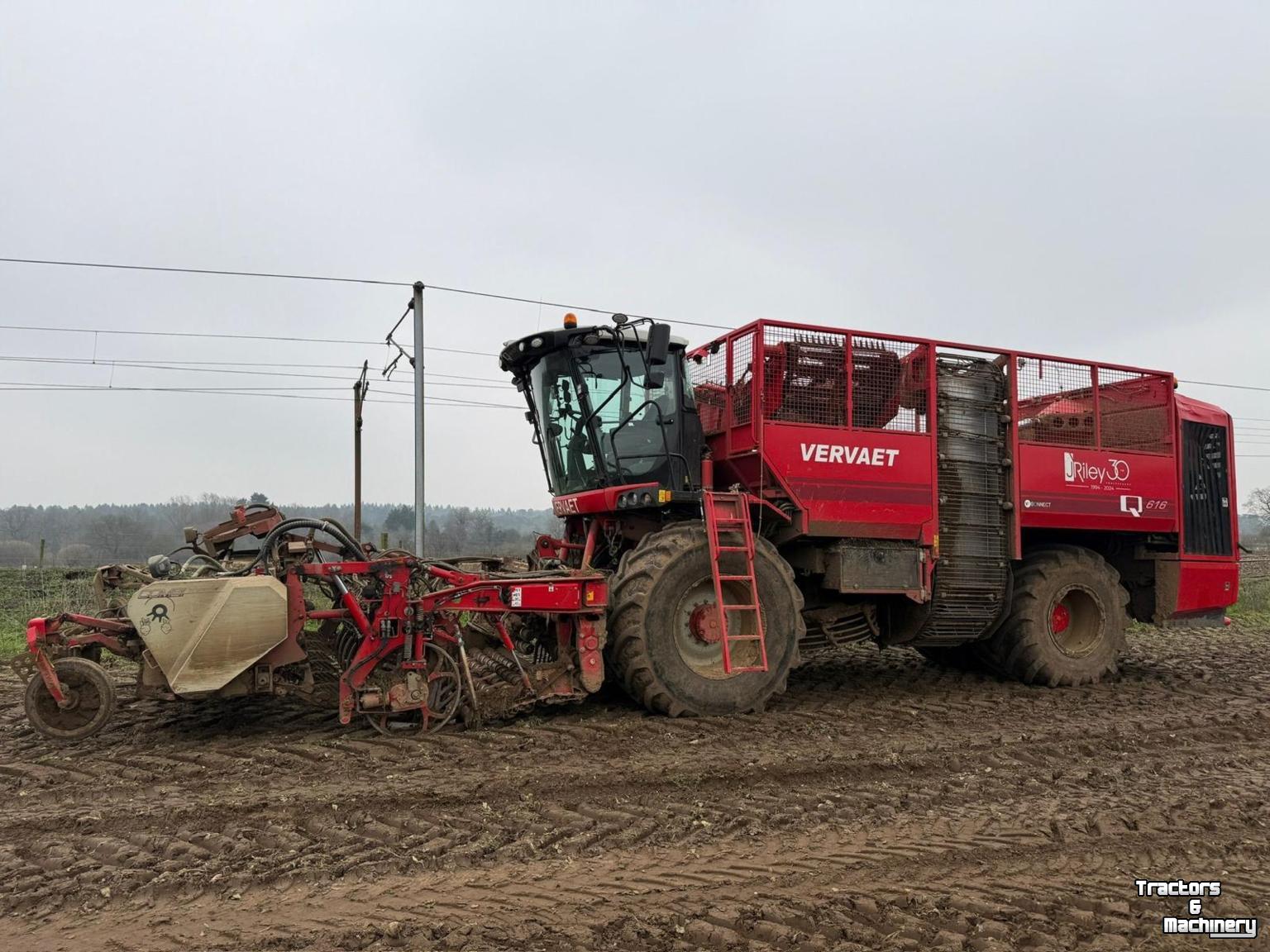 Sugar beet harvester Vervaet Q616 Rollerbed
