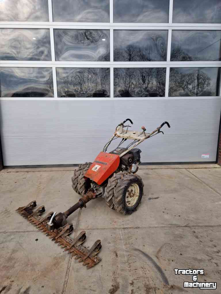 Push-type Lawn mower Bucher REC38