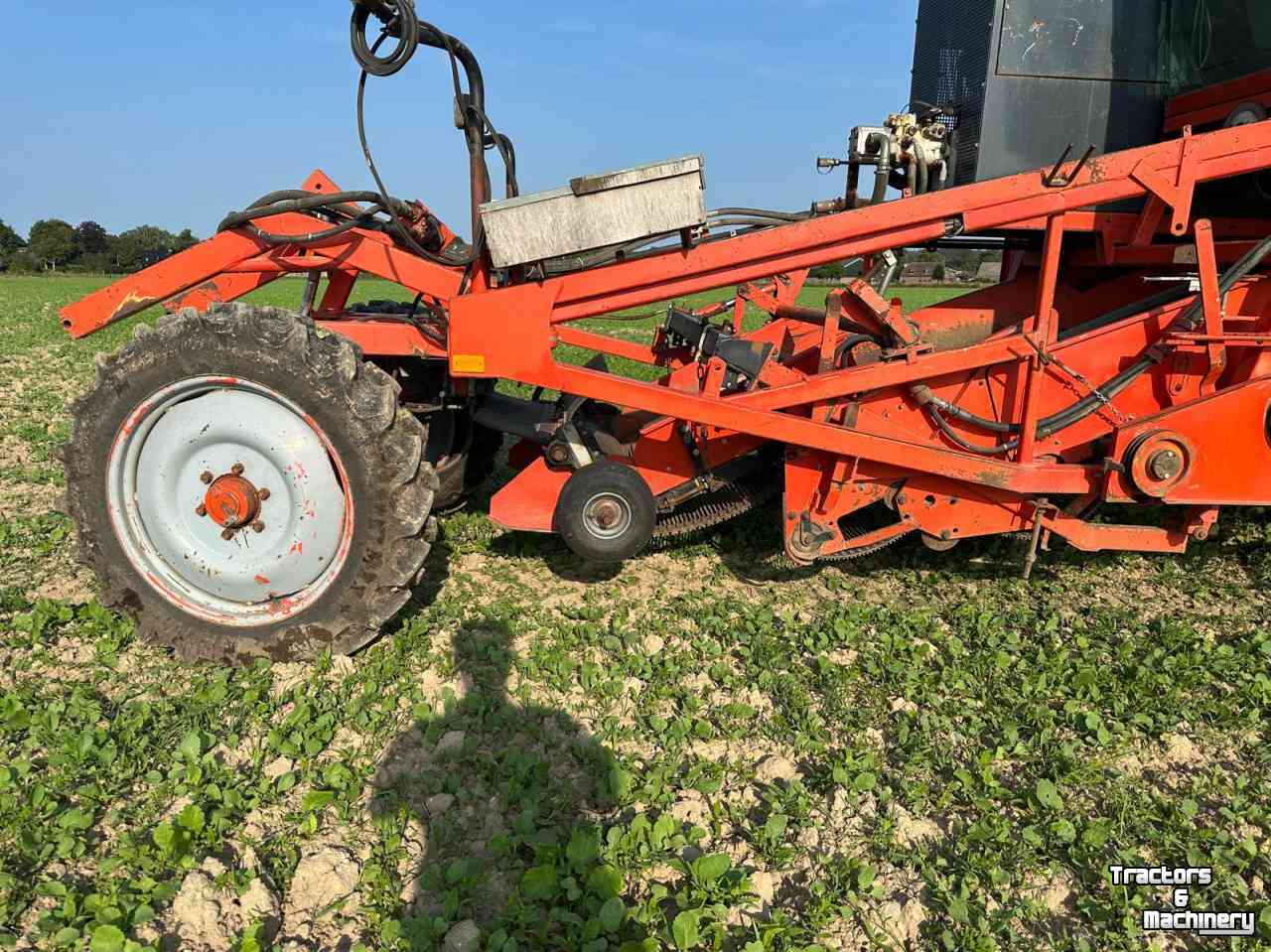 Onion harvester Amac ZM2 raper/lader plantuien