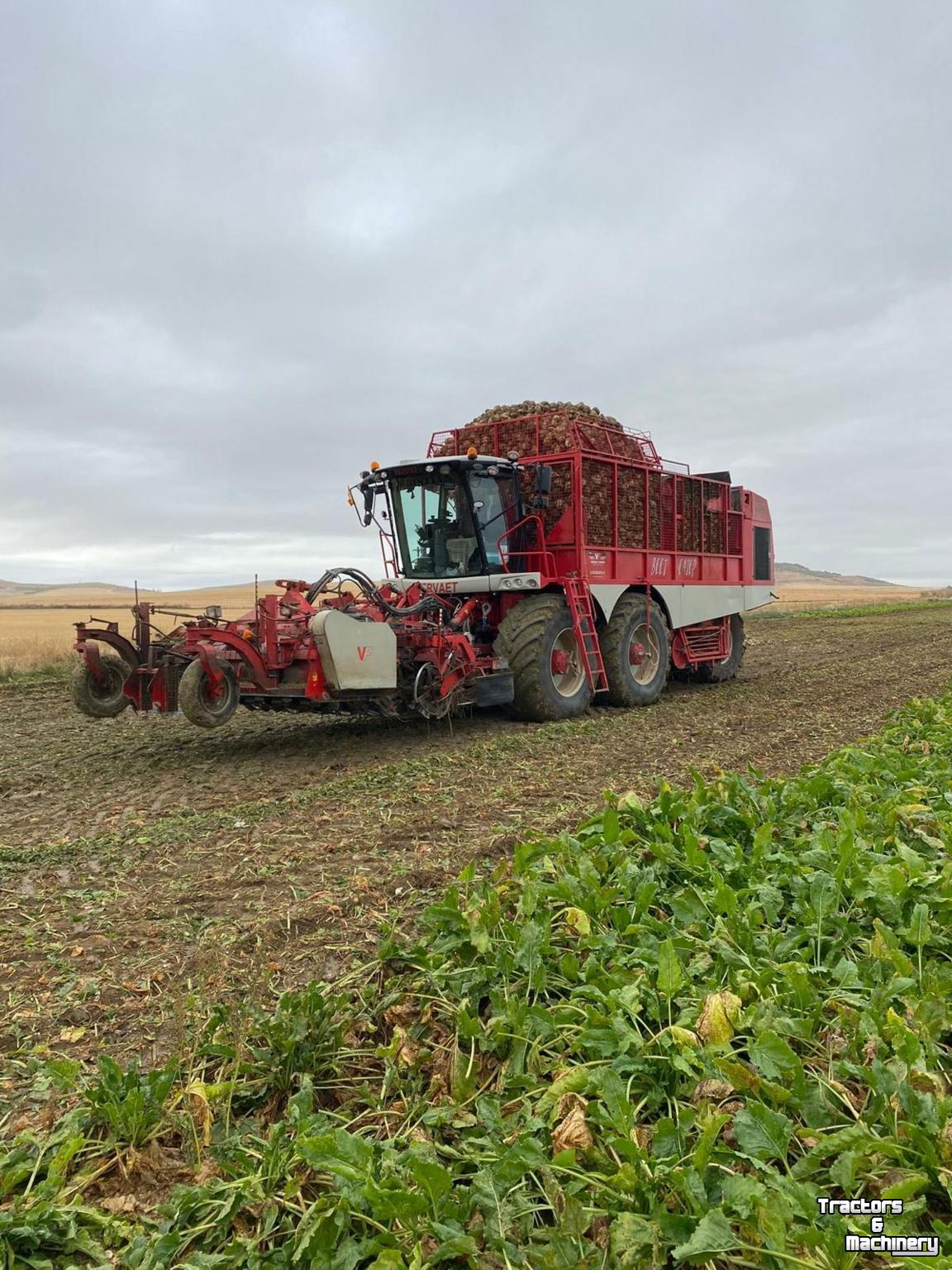 Sugar beet harvester Vervaet BE625