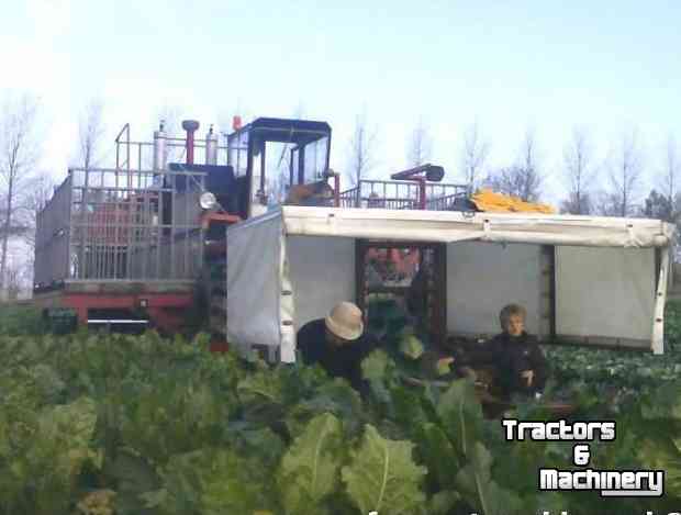 Cabbage harvester Riecam SPH 150 kool- of pompoenoogstmachine