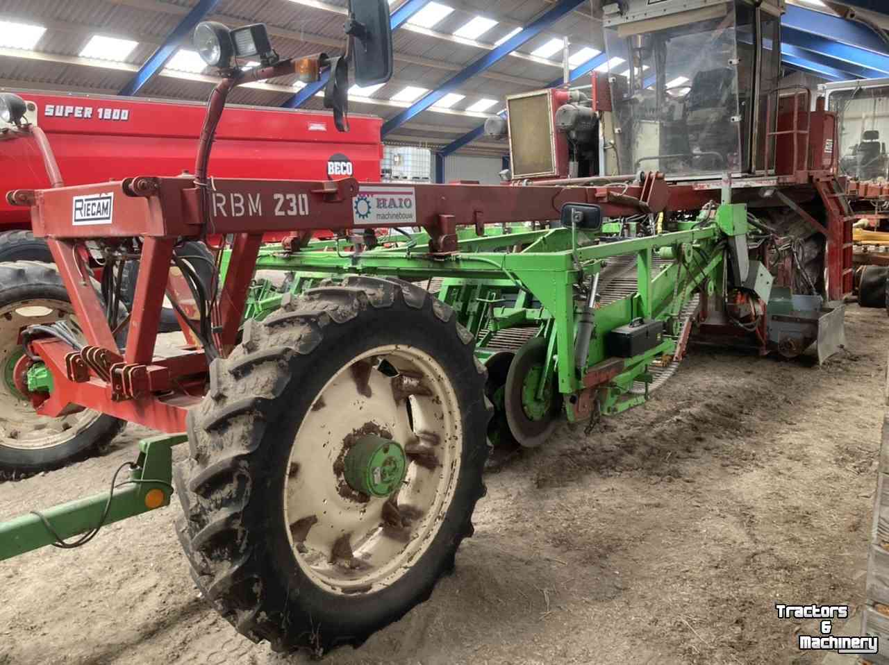 Potato harvester Riecam AVR 230 | voorraadrooier | Axiaal  | 4 rijen | zwadrooier