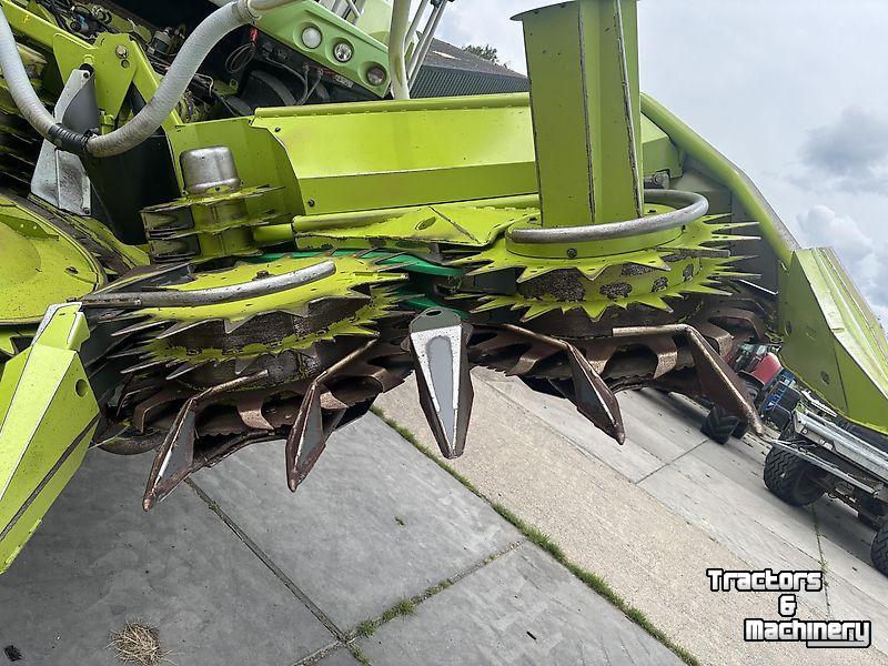 Cornhead Claas Claas - ORBIS 600 SD