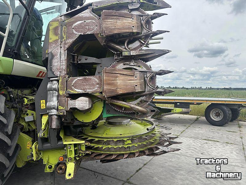 Cornhead Claas Claas - ORBIS 600 SD