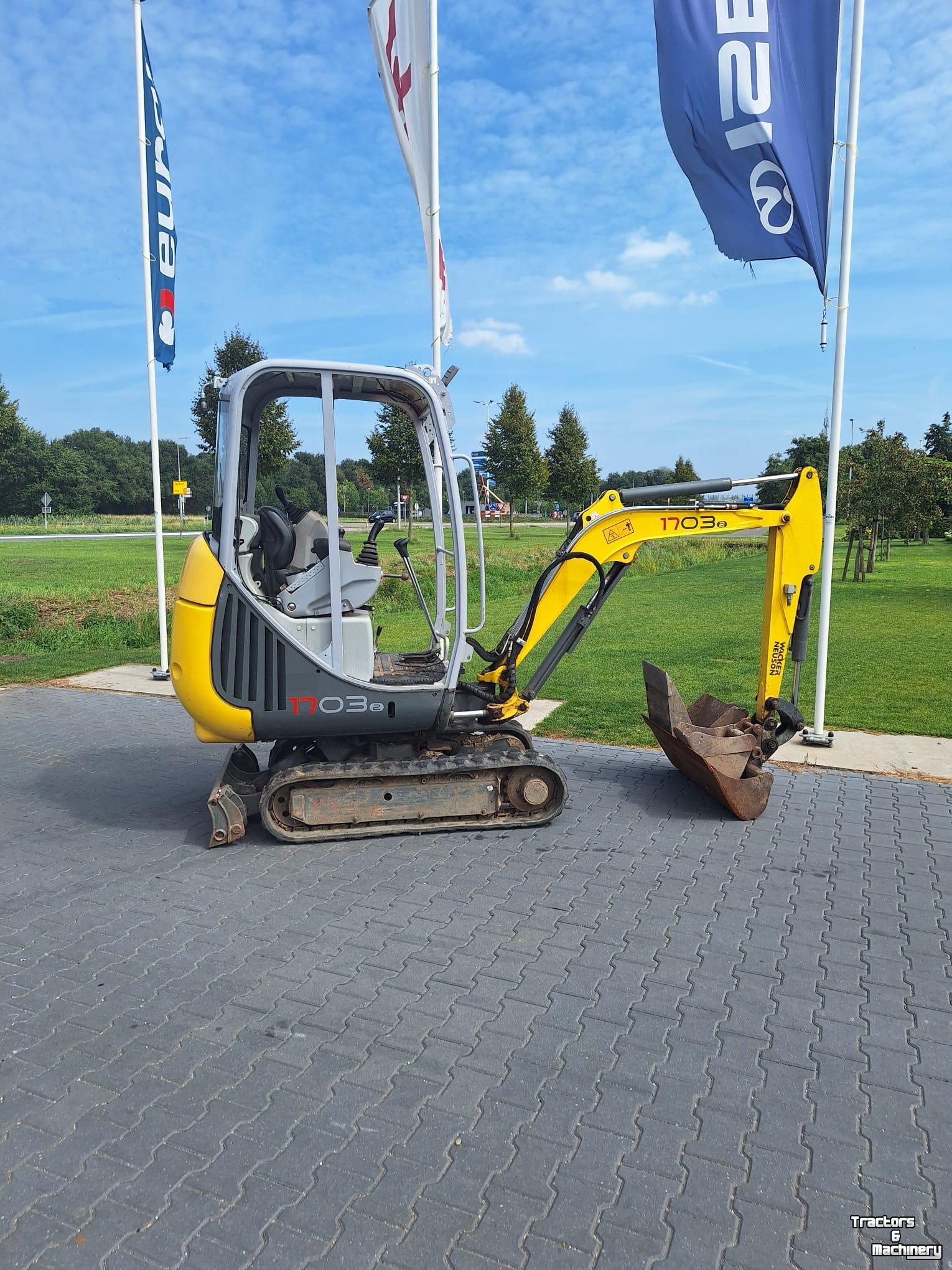 Mini-Excavator Wacker Neuson Wacker Neuson kraan                                 1703