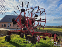 Rake Lely Hibiscus 855 CD