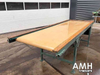Inspection units  3100X1000 Leesband, Inspection conveyor, Verleseband