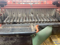 Potato harvester Grimme DL 1700, rooier, aardappelrooier