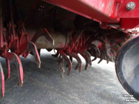 Rotary Hiller Grimme GF 400 Aardappelfrees