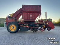 Sugar beet harvester Tim MIIIS- TEA Bietenrooier 3 rijen