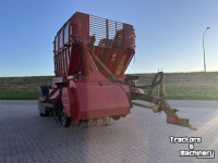Sugar beet harvester Tim MIIIS- TEA Bietenrooier 3 rijen
