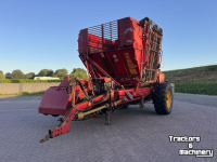 Sugar beet harvester Tim MIIIS- TEA Bietenrooier 3 rijen