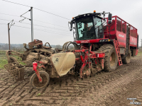 Sugar beet harvester Vervaet Q616 Rollerbed