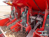 Potato planter Grimme GL 420 Exacta