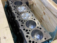 Engine New Holland 504384381 KORTE MOTOR