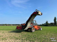 Onion harvester Amac ZM2 raper/lader plantuien