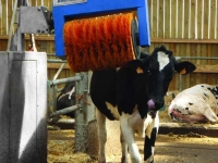 Cow Brushes Bou-Matic Cow brush / koe borstel