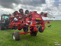 Tedder Kuhn GF 17002