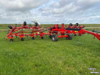 Tedder Kuhn GF 17002