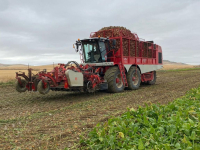 Sugar beet harvester Vervaet BE625