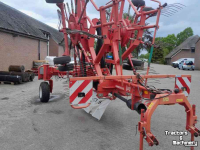 Rake Lely Hibiscus 785 Master