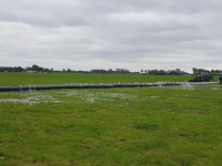 Irrigation spray lines Veneroni Bemalingspomp