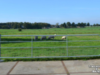 Other grassland-equipment, hay-equipment and accessories Qmac LANDHEK 1/2 GAAS 5.00 M