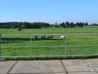 Other grassland-equipment, hay-equipment and accessories Qmac LANDHEK 1/2 GAAS 5.00 M