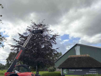 Telehandler Manitou MLT 635-130 PS+