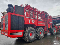Sugar beet harvester Holmer Terra Dos T4-40