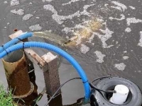 Other irrigation equipment and accessories Suevia In- en uitfiltratie systeem op zonne-energie