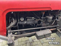 Oldtimers Massey Ferguson 35