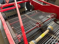 Potato harvester Unia 2 x Wega 1600 2 rijige aardappelrooiers