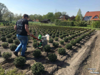 Other tree cultivation equipment and accessories Ezendam Globus Multi-E-Wagen SPK03