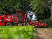 Sugar beet harvester Vervaet Q616