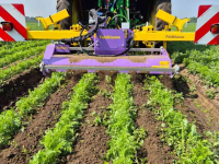Inter-row cultivator  Feldklasse Ruckaby