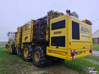 Sugar beet harvester Vervaet Ropa Tiger V8-3 Sugar Beet Harvester / Bietenrooier / Rubenroder