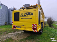 Sugar beet harvester Vervaet Ropa Tiger V8-3 Sugar Beet Harvester / Bietenrooier / Rubenroder