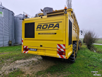 Sugar beet harvester Vervaet Ropa Tiger V8-3