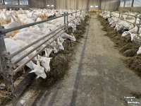 Ration feeder Sieplo GB1600 ruwvoerverdeler