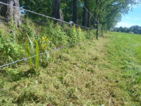 Mower  Palenmaaier