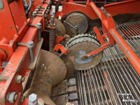 Potato harvester Grimme DR 1500