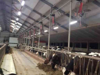 Stable Ventilation System  Stalventilatoren