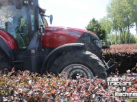 Tractor Case Optum 270 CVX