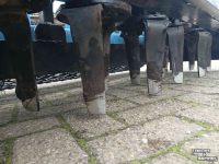Seed drill Sicma Graszaaimachine zaaimachine